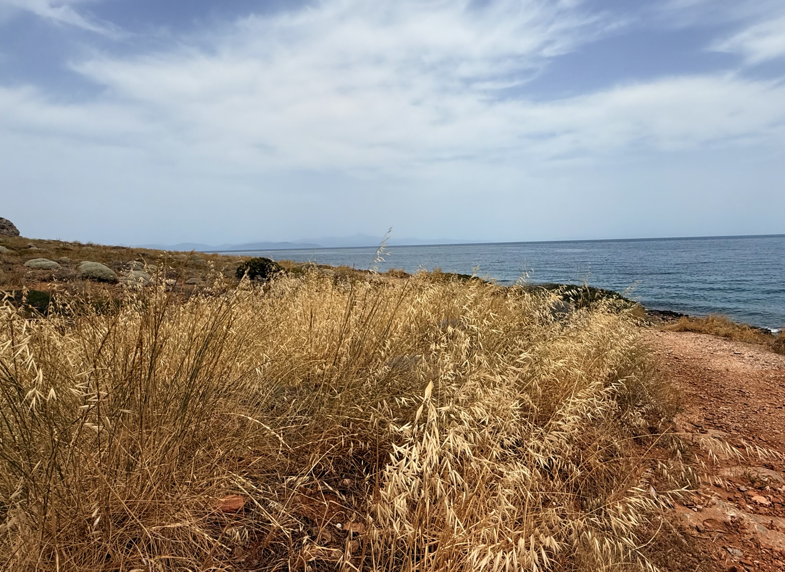Περιμένοντας το σούρουπο